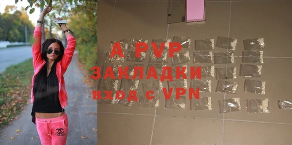 стаф Михайловск
