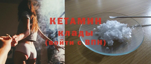 сатива Надым