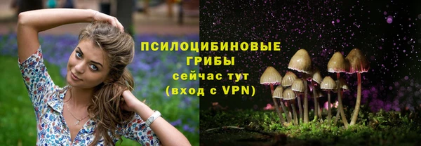 стафф Навашино