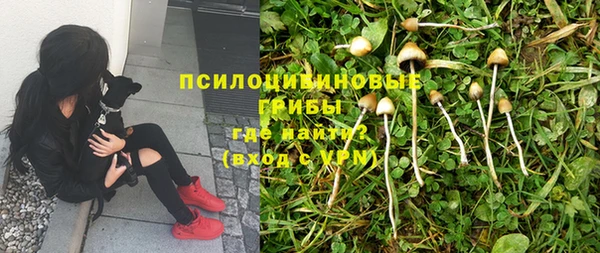сатива Надым