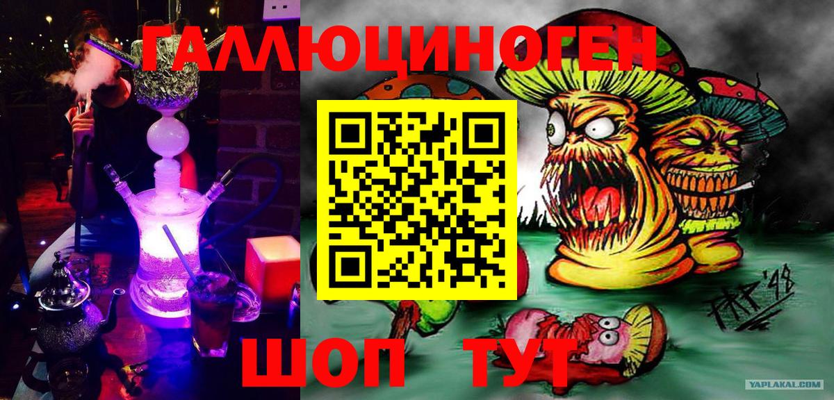 Псилоцибиновые грибы Psilocybine cubensis  Вход с VPN  Лысьва 